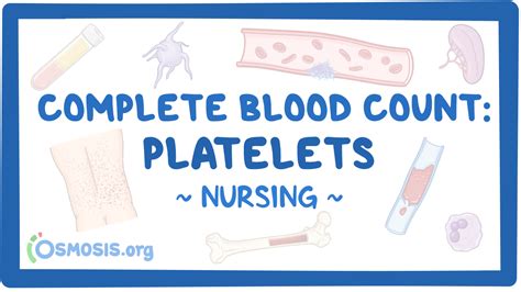 Complete Blood Count CBC Platelets Nursing Osmosis Video Library