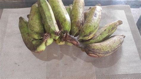 Kuliner Ntt Informasi Harga Pisang Raja Timor Asli Dari Kebun Amarasi