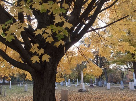 Franklin Cemetery In Franklin Michigan