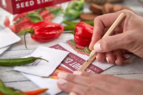 Chilli Seeds Kit Grow Your Own Chilli Peppers Indoors Etsy Uk