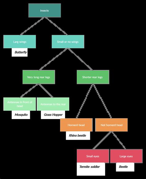 Dichotomous Key Biology Simple