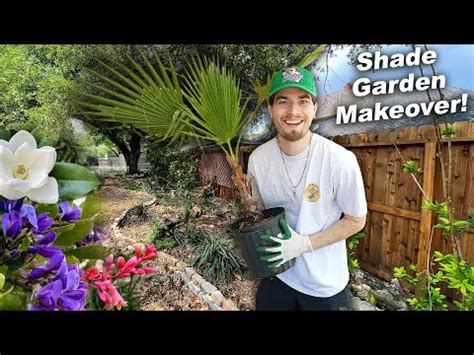 Shade Garden Makeover with Native Plants!! Houston Texas Zone 9 ...