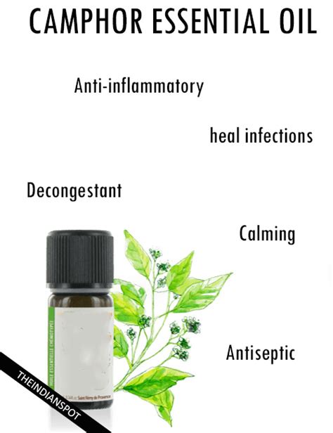 16 Interesting Benefits Of Camphor Essential Oil The Indian Spot