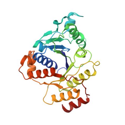 RCSB PDB 1RW4 Nitrogenase Fe Protein L127 Deletion Variant