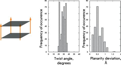 structural organization  geometrical features    group