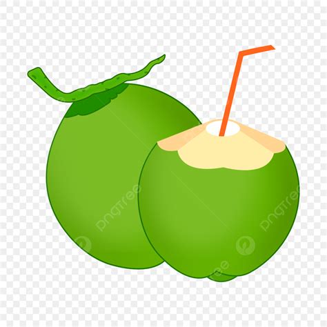 Whole Coconut Clipart Transparent Background Whole Green Coconut With