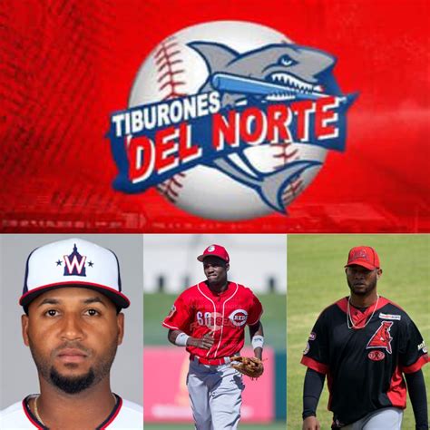 Tiburones del Norte añaden 3 peloteros a su róster en busca de