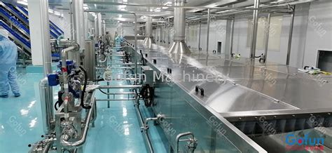 Stainless Steel Industrial Apple Juice Processing Line Sus