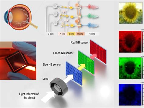 Cet Il Artificiel Permettrait De Filmer Bien Plus Efficacement Et Sans