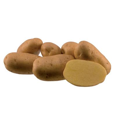 Casa Queridos Produtos Para Agricultura Produtos Batata