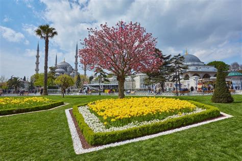 Istanbul Turkey April Spring In Sultanahmet Square