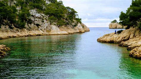 images yellow body  water sea natural landscape coast