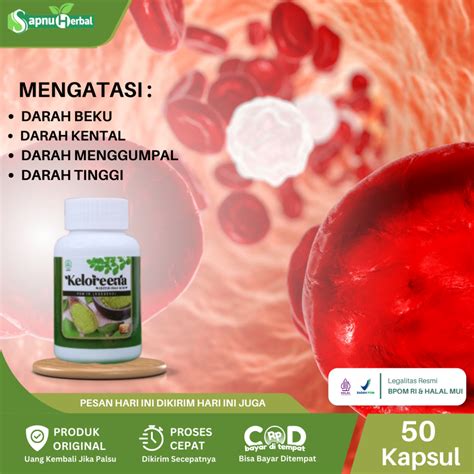 Jual Sapnu Herbal Obat Pengencer Darah Beku Darah Kental Darah