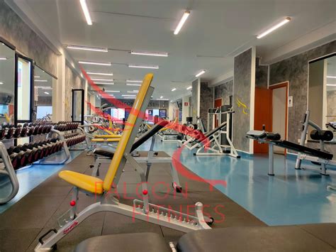 Sala Pesi Fit Freedom Palestra Quartu S Elena