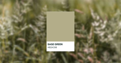 What Colors Make Sage Green Paint HipFonts