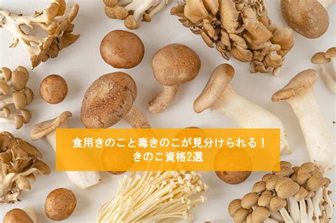 【きのこ資格】採れたてきのこを料理に！副収入に！役立てよう 日本安全食料料理協会【jsfca】