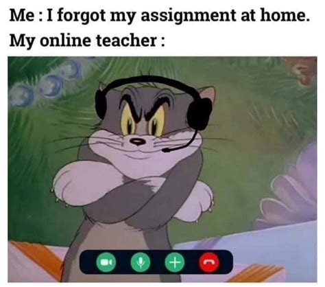 Assignment - Meme by Bulma001 :) Memedroid