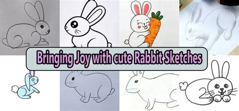 cute rabbit drawing