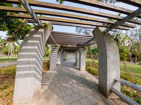 Walking In The Daan Forest Park Stock Photo Image Of Forest Taiwan