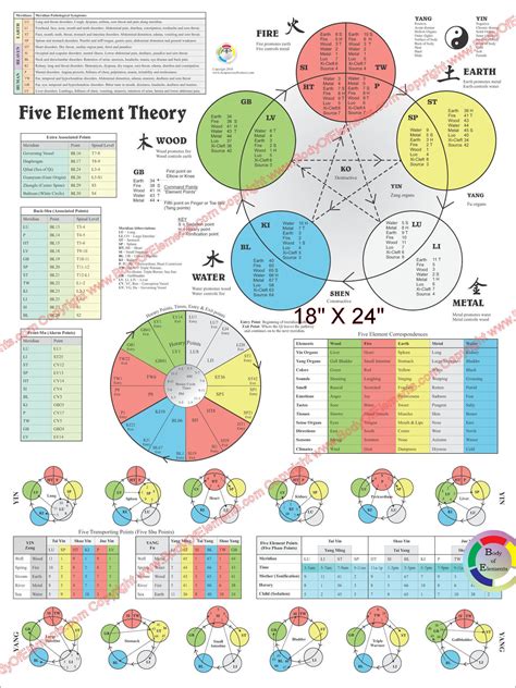 Color Five Element Theory Acupuncture Poster