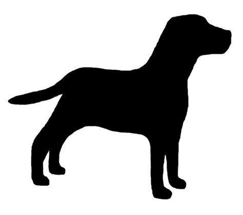 The Best Free Labrador Silhouette Images Download From 501 Free