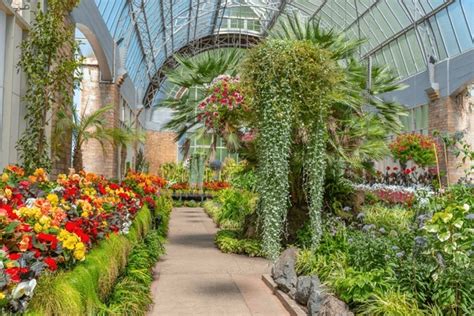 botanic gardens domain auckland auckland domain wintergardens