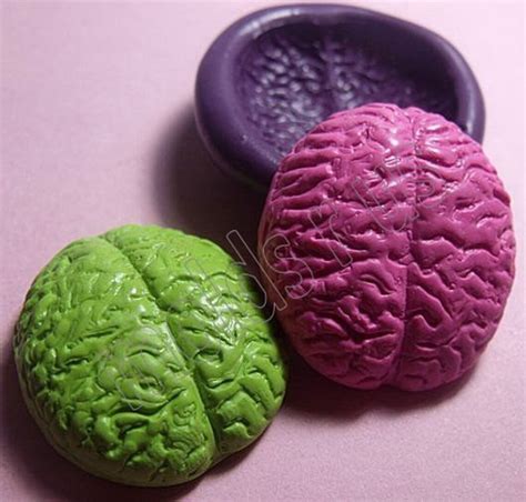 Human Brain Flexible Silicone Push Mold Fondant Wax Etsy