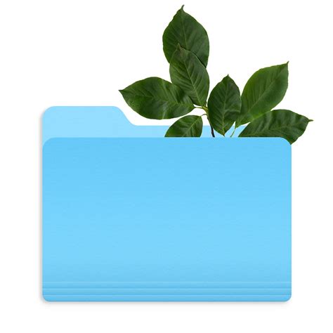 archive  work digitally  creative independent