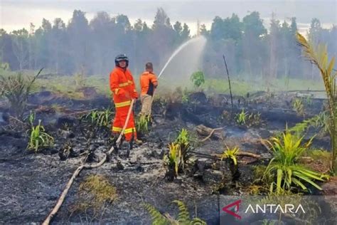 Waspada Bmkg Ingatkan Ada Titik Panas Terdeteksi Di Kalimantan