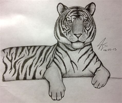 25k Sample How To Draw A Pencil Sketch Of A Tiger With Pencil Sketch