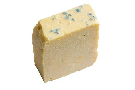 Mouldy cheese stock photo. Image of mature, medical, bacteria - 1178622