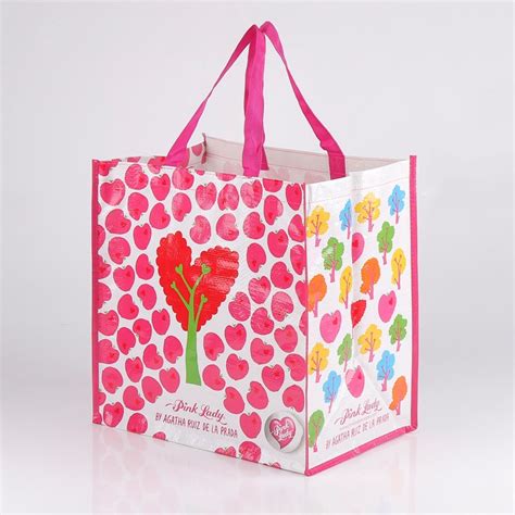 Pp Laminated Woven Shopping Bag