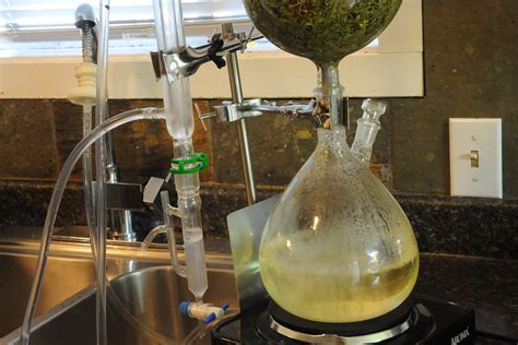 Distillation Steam Distillation Essential Oils