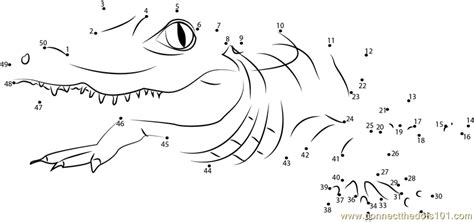 Alligator Dot To Dot Printable Worksheet Connect The Dots