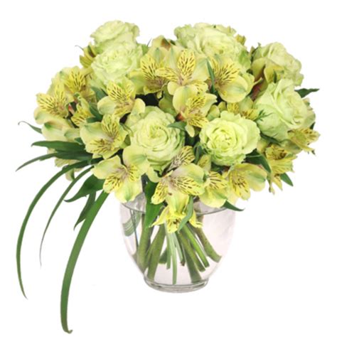 FSN’s Top Ten Grandparents Day Bouquets - Bloomin' Blog