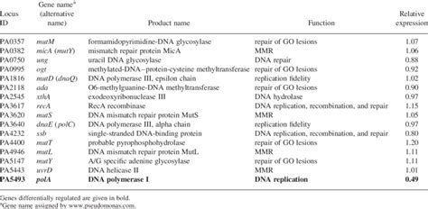 Transcription Levels Of P Aeruginosa Genes Involved In Dna Repair And Download Table