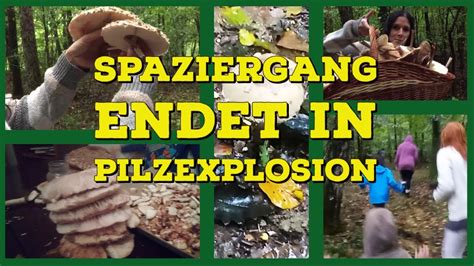 Vlog Pilze In H Lle Und F Lle Ausflug Trotz Regen Youtube