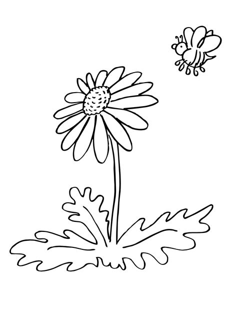 Girl Scout Daisy Flower Garden Coloring Pages Best Flower Site 5022 The Best Porn Website