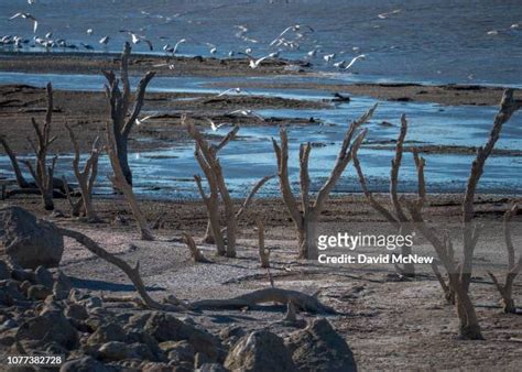 Drying Sea Photos and Premium High Res Pictures - Getty Images