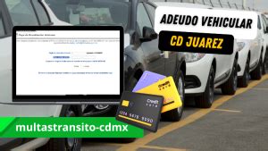 Como Pagar Adeudo Vehicular Cd Juarez En Linea