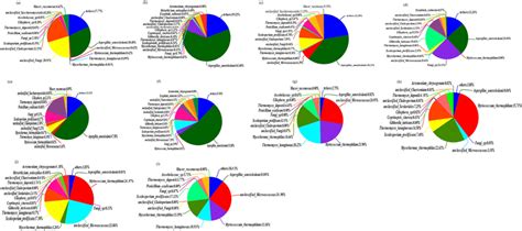 Pie Charts Illustrating The Relative Species Abundance Across Both Download Scientific Diagram