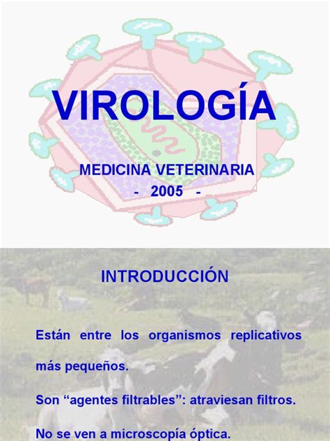 Virologia Veterinaria Retrovirus Virus Prueba Gratuita De 30 Días