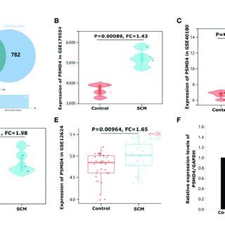 Identification And Validation Of Immune Related Hub Genes Psmd In