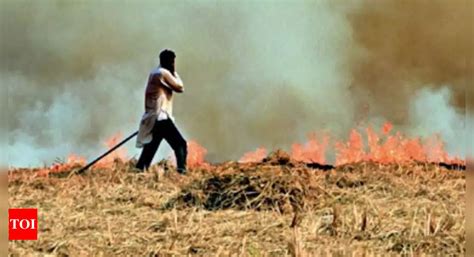 Pollution Up Again In Delhi Due To Punjab Stubble Burning Bjp Delhi