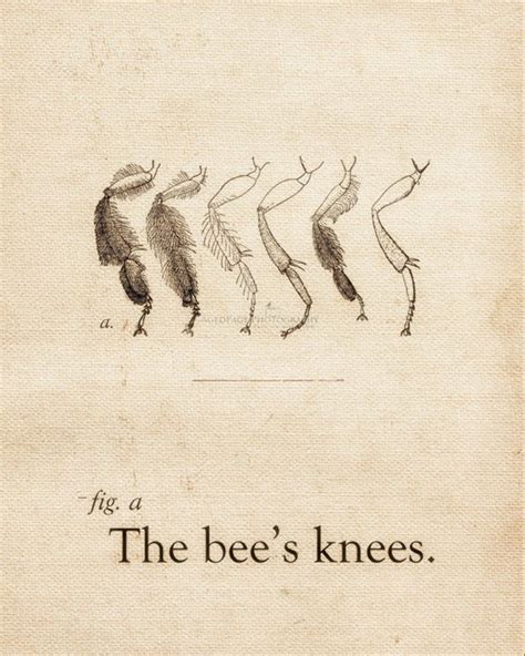 The Bee S Knees Whimsical Insect Art Print Or Canvas Etsy Insect