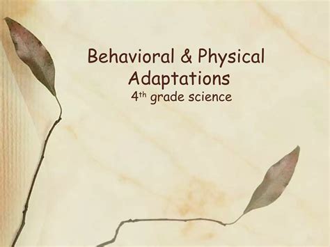 Behavioral And Physical Adaptations Ppt