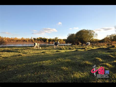 Die Hulun Buir Steppe Im Herbst Cn