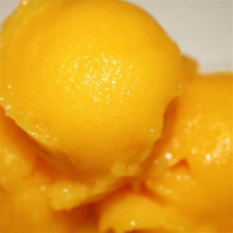 Sorbet à la Mangue La cuisine de Bernard