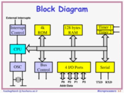 Solution Introduction To Microcontroller Studypool