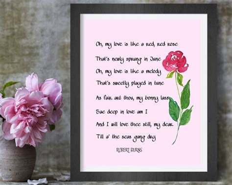 Oh My Love is Like A Red Red Rose Print Robert Burns Love - Etsy UK